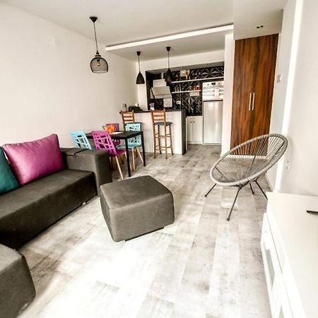 Chill Out Apartment Novi Sad Dış mekan fotoğraf